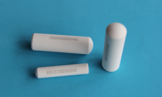 পশু সনাক্তকরণ Eartag গবাদি পশু Rfid Bolus Tag 134.2khz