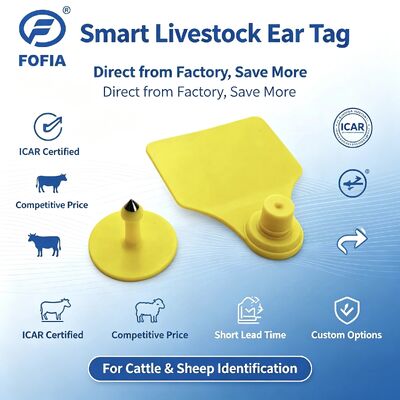 Fofia T904 কম্বিনেশন অ্যানিমাল ইয়ার ট্যাগ RFID TPU 72*57mm লেজার কোডিং ফার্ম ক্যাটল পিগ শিপ আইকার