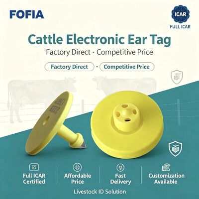 নতুন সম্পূর্ণ ICAR জলরোধী RFID TPU হলুদ পশুর কানের ট্যাগ 14.5mm EM4305 চিপস 5 বছরের ওয়ারেন্টি ফোফিয়া ফার্ম ব্যবহার