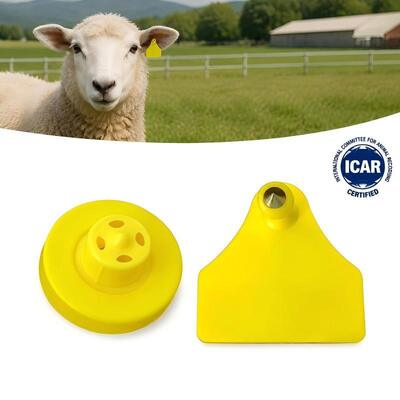 Durable Waterproof Goat Sheep Electronic Animal Tracking Ear Tag New High Quality RFID TPU Laser Coding 3 Year Warranty Fofia