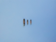 ছোট পাখি ট্র্যাকিং মাইক্রোচিপ এফডিএক্স-বি 1.25 মিমি গ্লাসস্ট্যাগ পাখি এবং মাছের জন্য